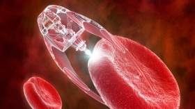 Создан робот-микроб, передвигающийся внутри кровеносных сосудов